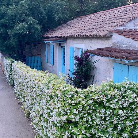 Vila Majda Tar-Vabriga Екстер'єр фото