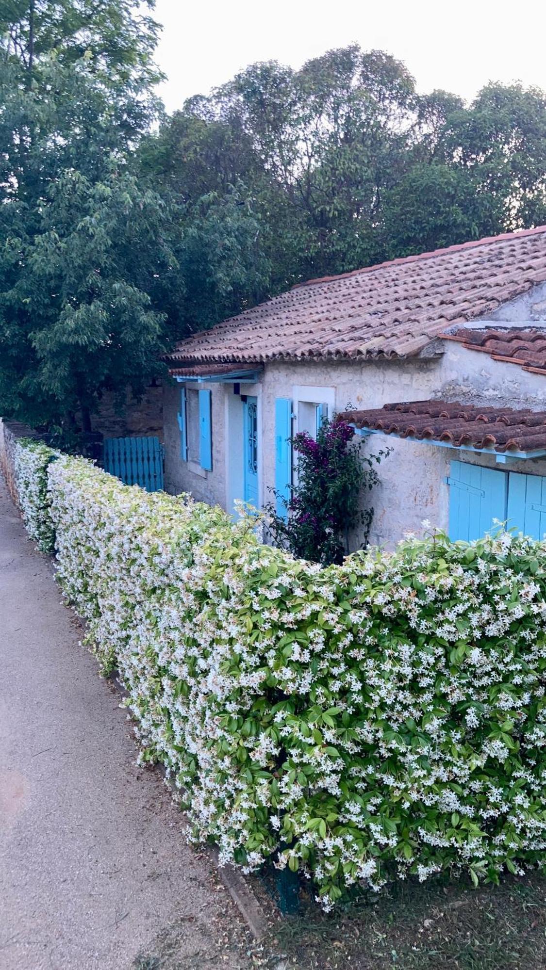 Vila Majda Tar-Vabriga Екстер'єр фото